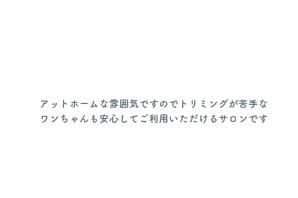 アットホームな雰囲気ですのでトリミングが苦手なわんちゃんも安心してご利用いただけるサロンです